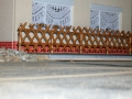 DSCN2357