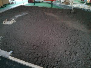 IMG_20160612_121103