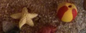 IMG_20160612_134309